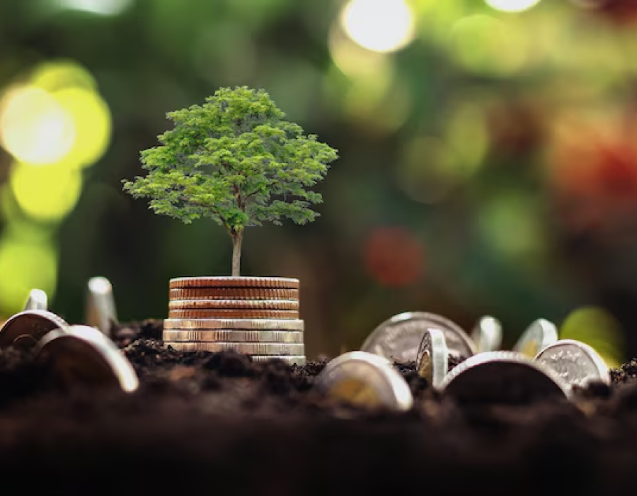 image_2025-11-10_142257301